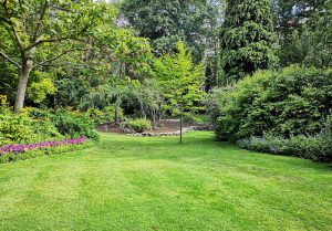 Optimiser l'expérience du jardin à Essigny-le-Petit